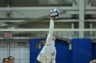 VB vs USCGA  Wheaton College Women's Volleyball vs U.S. Coast Guard Academy. - Photo by Keith Nordstrom : Wheaton, Volleyball